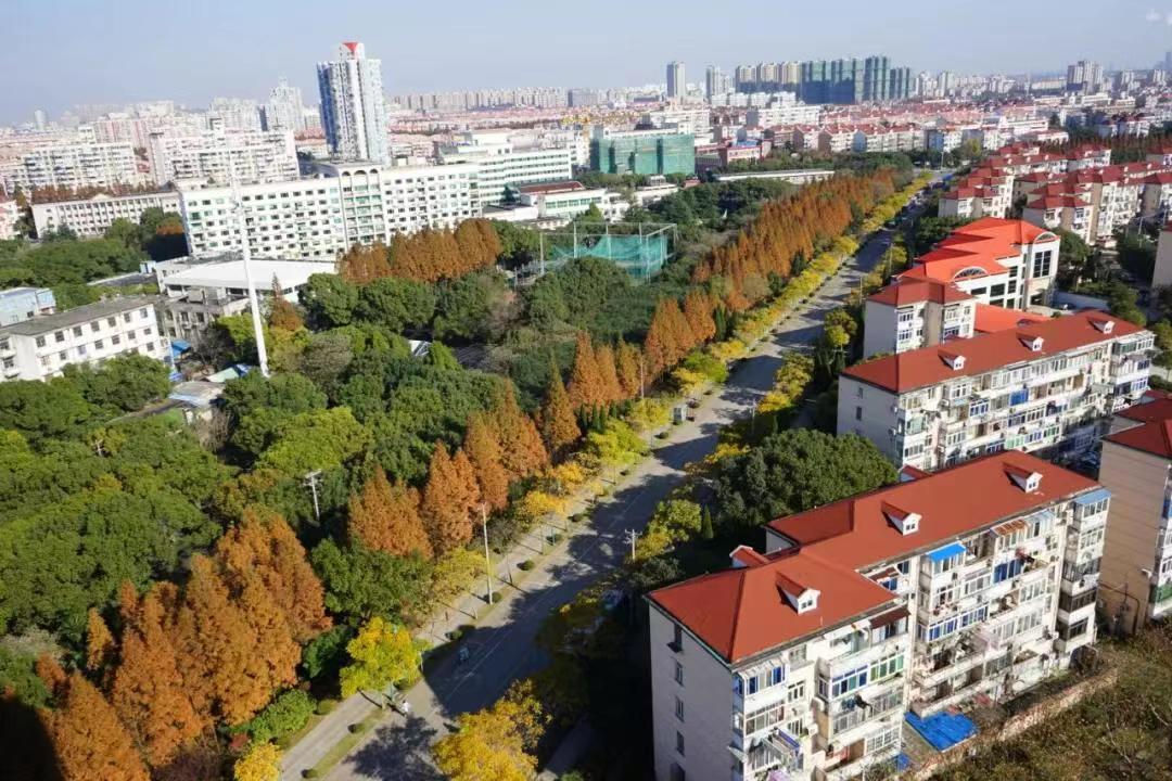 森林覆盖率14.73%,金山区全面推行林长制休闲区蓝鸢梦想 - Www.slyday.coM 森林覆盖率14.73%,金山区全面推行林长制休闲区蓝鸢梦想 - Www.slyday.coM