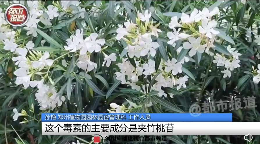 有毒!已有人中招!网友:安陵容的话要信休闲区蓝鸢梦想 - Www.slyday.coM 有毒!已有人中招!网友:安陵容的话要信休闲区蓝鸢梦想 - Www.slyday.coM