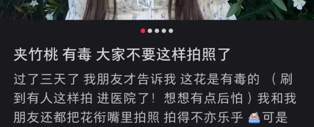 有毒!已有人中招!网友:安陵容的话要信休闲区蓝鸢梦想 - Www.slyday.coM 有毒!已有人中招!网友:安陵容的话要信休闲区蓝鸢梦想 - Www.slyday.coM