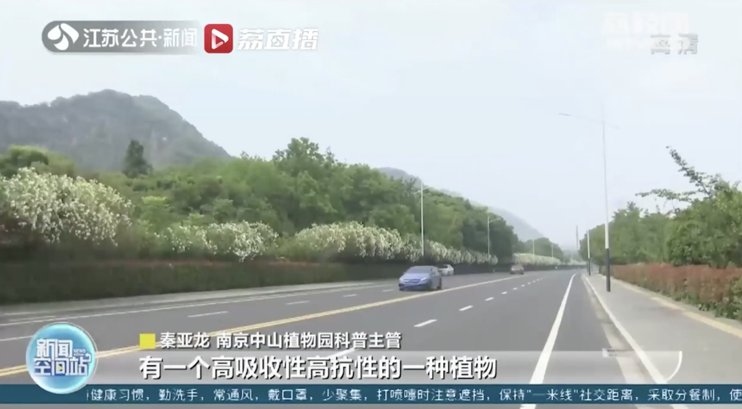 有毒!已有人中招!网友:安陵容的话要信休闲区蓝鸢梦想 - Www.slyday.coM 有毒!已有人中招!网友:安陵容的话要信休闲区蓝鸢梦想 - Www.slyday.coM