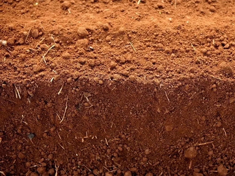 土壤退步钻研的原因