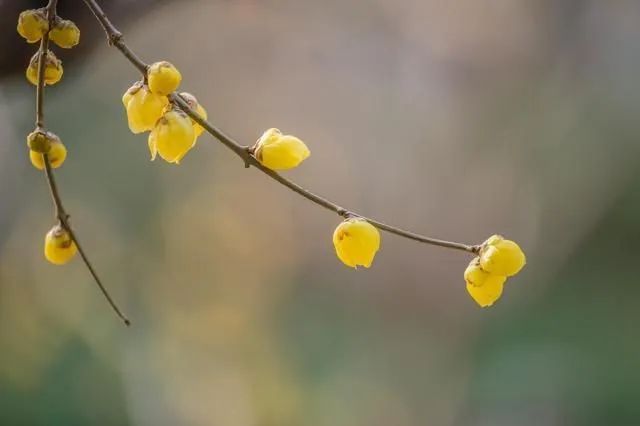 退休以后,主动和三种人断交,并不是薄情,而是有远见休闲区蓝鸢梦想 - Www.slyday.coM 退休以后,主动和三种人断交,并不是薄情,而是有远见休闲区蓝鸢梦想 - Www.slyday.coM