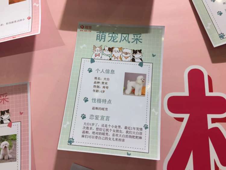 00后海归男,怎么都在相亲?休闲区蓝鸢梦想 - Www.slyday.coM 00后海归男,怎么都在相亲?休闲区蓝鸢梦想 - Www.slyday.coM