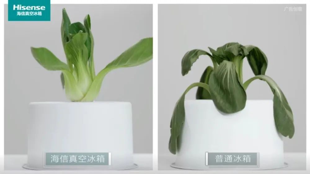 一手科技创新一手用户需求：海信冰箱持续领跑“真空保鲜”赛道-家电圈官网