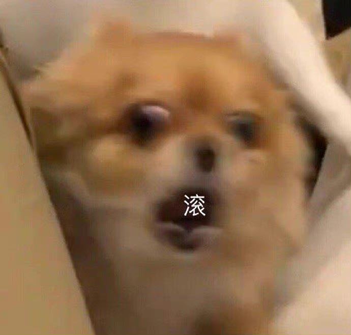 明明可以直接诈骗,但TA们还是拍了一部剧休闲区蓝鸢梦想 - Www.slyday.coM 明明可以直接诈骗,但TA们还是拍了一部剧休闲区蓝鸢梦想 - Www.slyday.coM