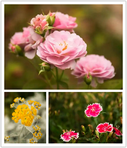 上海市区这个大公园重开!美成江南百景图,还有帐篷区!入园方式来了↓休闲区蓝鸢梦想 - Www.slyday.coM 上海市区这个大公园重开!美成江南百景图,还有帐篷区!入园方式来了↓休闲区蓝鸢梦想 - Www.slyday.coM