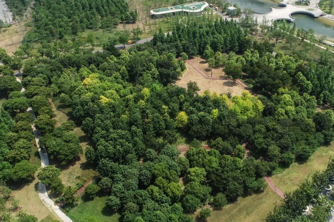 上海市区这个大公园重开!美成江南百景图,还有帐篷区!入园方式来了↓休闲区蓝鸢梦想 - Www.slyday.coM 上海市区这个大公园重开!美成江南百景图,还有帐篷区!入园方式来了↓休闲区蓝鸢梦想 - Www.slyday.coM