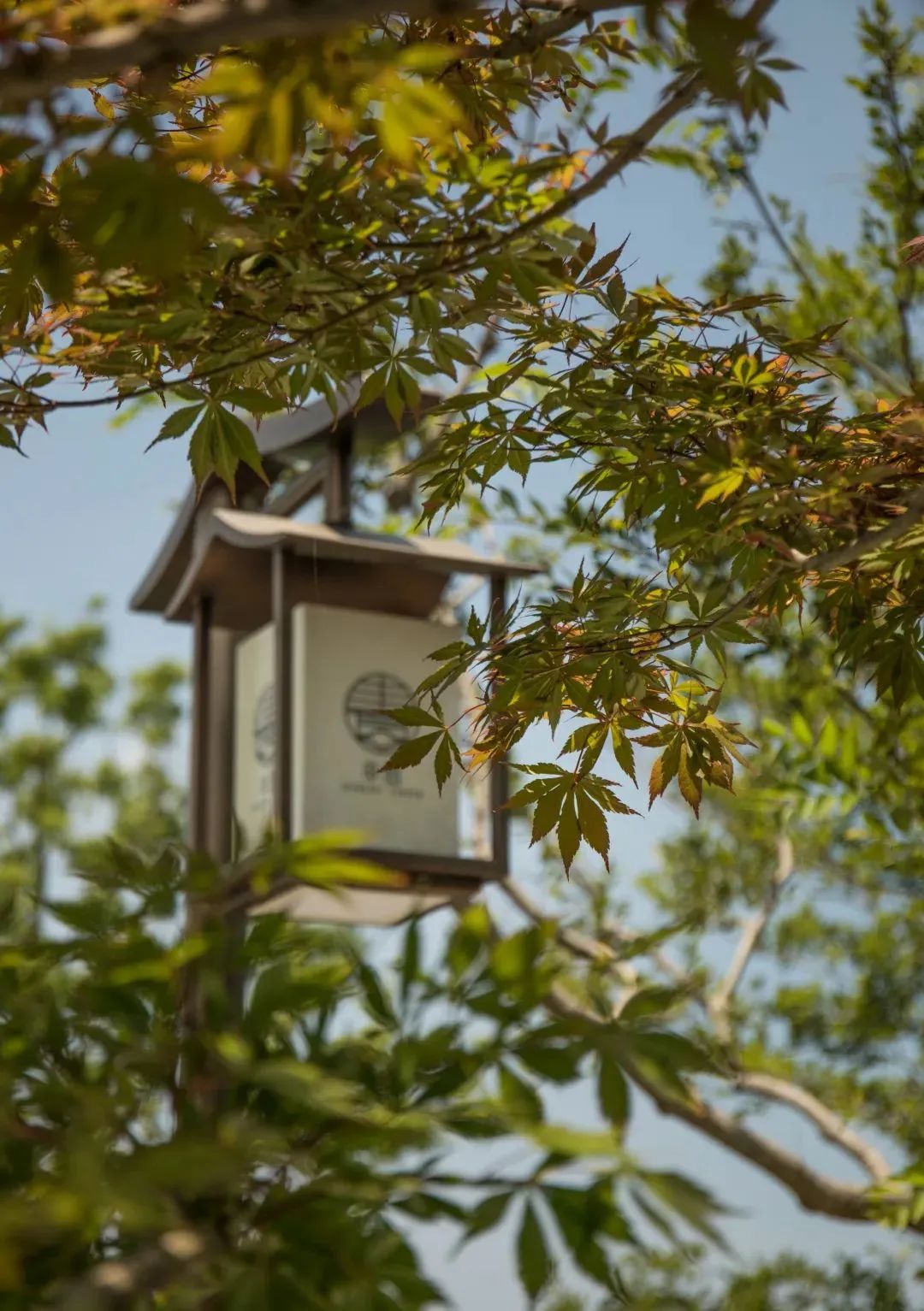 上海市区这个大公园重开!美成江南百景图,还有帐篷区!入园方式来了↓休闲区蓝鸢梦想 - Www.slyday.coM 上海市区这个大公园重开!美成江南百景图,还有帐篷区!入园方式来了↓休闲区蓝鸢梦想 - Www.slyday.coM