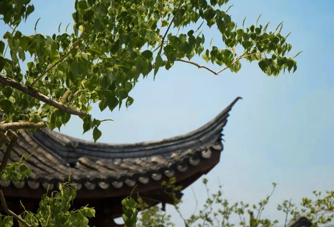 上海市区这个大公园重开!美成江南百景图,还有帐篷区!入园方式来了↓休闲区蓝鸢梦想 - Www.slyday.coM 上海市区这个大公园重开!美成江南百景图,还有帐篷区!入园方式来了↓休闲区蓝鸢梦想 - Www.slyday.coM