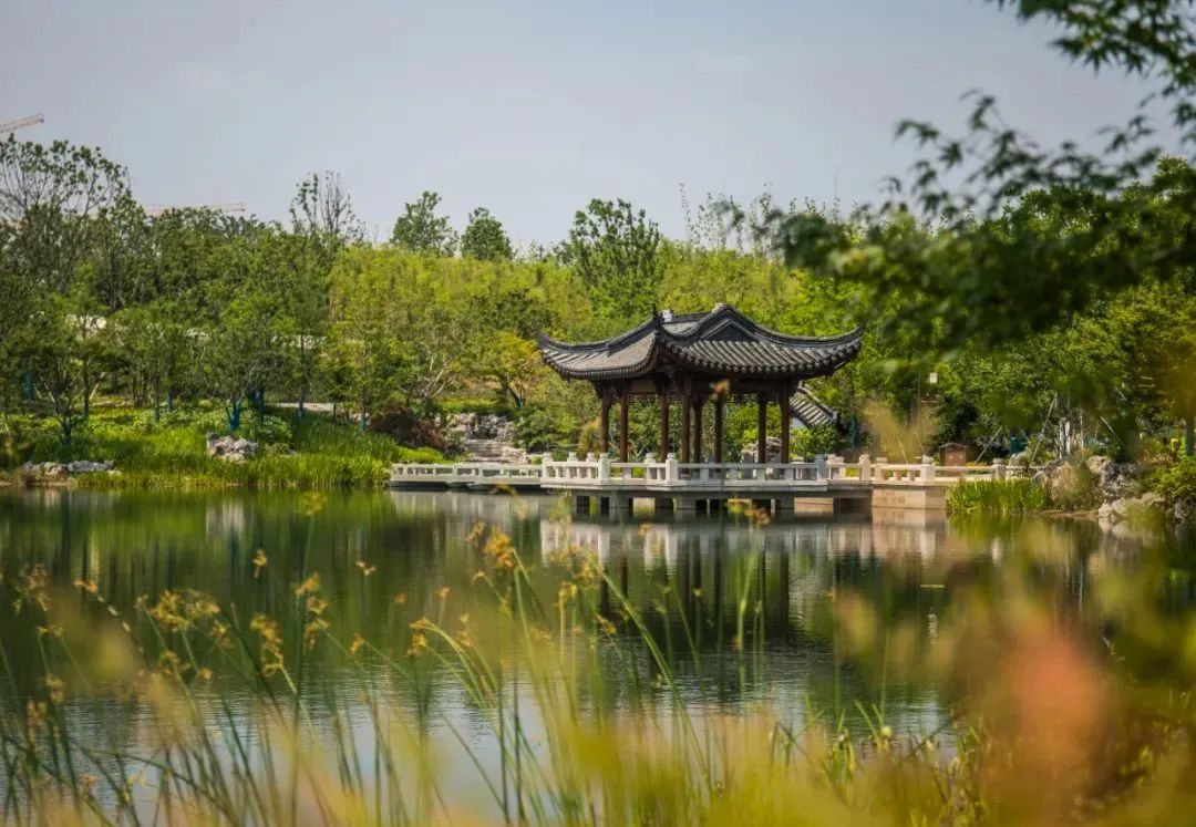 上海市区这个大公园重开!美成江南百景图,还有帐篷区!入园方式来了↓休闲区蓝鸢梦想 - Www.slyday.coM 上海市区这个大公园重开!美成江南百景图,还有帐篷区!入园方式来了↓休闲区蓝鸢梦想 - Www.slyday.coM