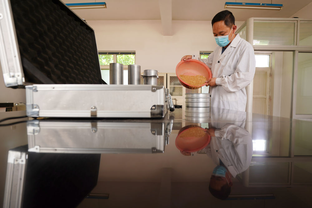 创新服务方式夏粮收购一线见闻