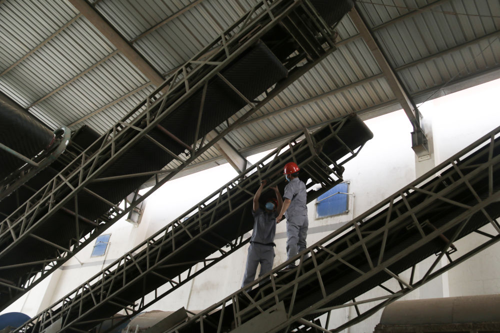 创新服务方式夏粮收购一线见闻