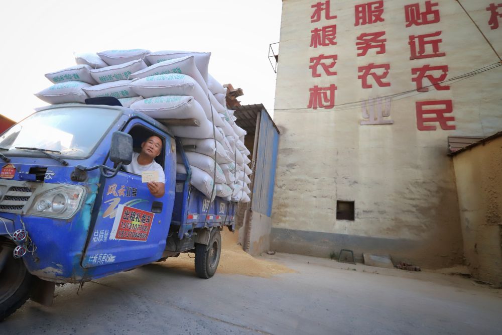 创新服务方式夏粮收购一线见闻