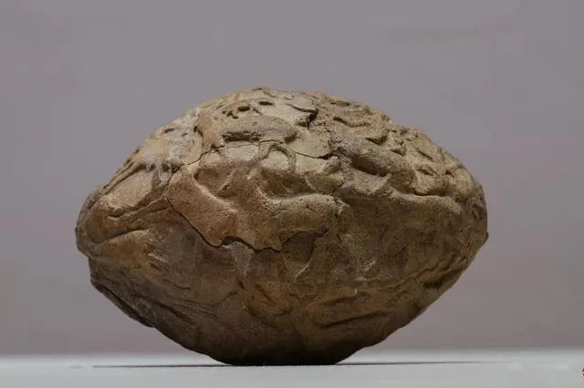 足足盼了1年!这个展览把「古叙利亚」终于搬到了北京,一定要抓住机会去看!休闲区蓝鸢梦想 - Www.slyday.coM 足足盼了1年!这个展览把「古叙利亚」终于搬到了北京,一定要抓住机会去看!休闲区蓝鸢梦想 - Www.slyday.coM