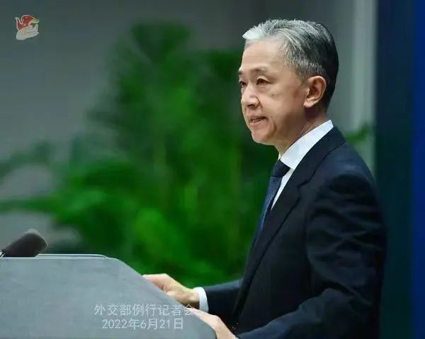 外交部发言人汪文斌.薛伟 摄