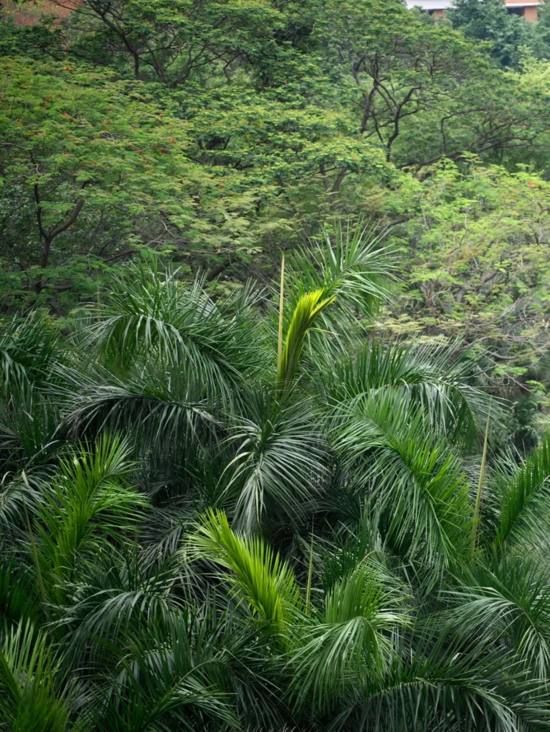她卖掉市中心大平层,花2万租下梦中情房,太让人羡慕了!休闲区蓝鸢梦想 - Www.slyday.coM 她卖掉市中心大平层,花2万租下梦中情房,太让人羡慕了!休闲区蓝鸢梦想 - Www.slyday.coM