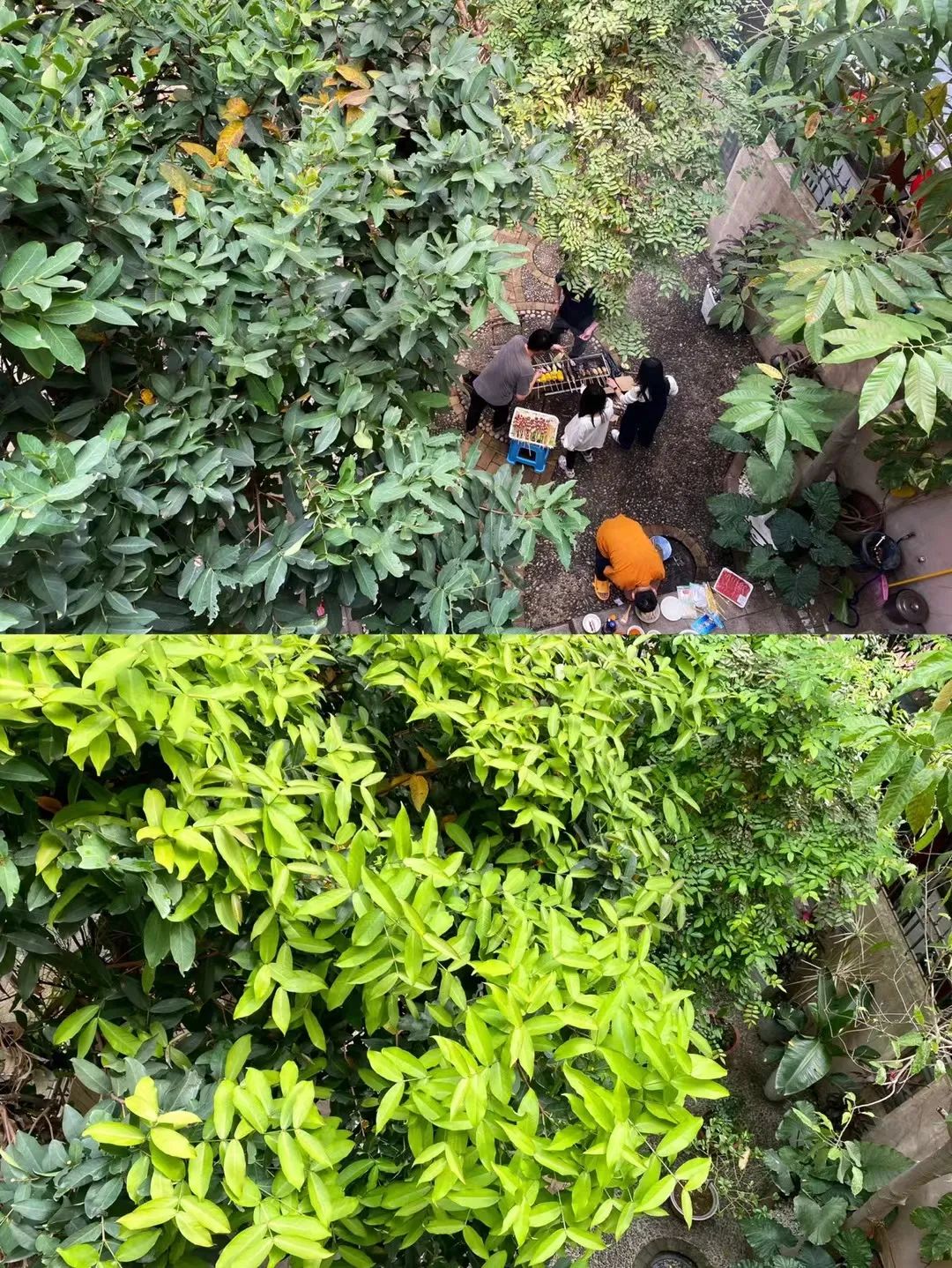 她卖掉市中心大平层,花2万租下梦中情房,太让人羡慕了!休闲区蓝鸢梦想 - Www.slyday.coM 她卖掉市中心大平层,花2万租下梦中情房,太让人羡慕了!休闲区蓝鸢梦想 - Www.slyday.coM