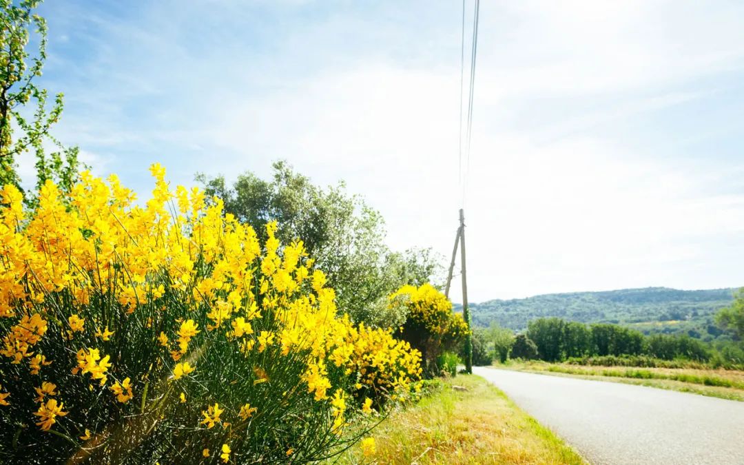 新东方的董宇辉,凭什么这么火?休闲区蓝鸢梦想 - Www.slyday.coM 新东方的董宇辉,凭什么这么火?休闲区蓝鸢梦想 - Www.slyday.coM