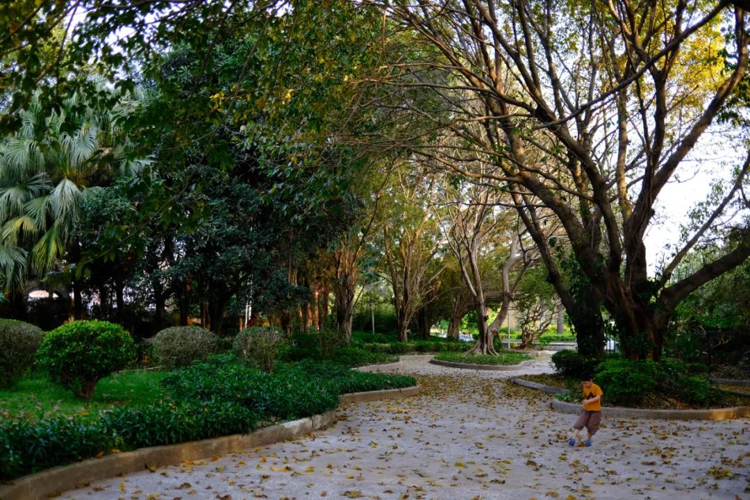 她卖掉市中心大平层,花2万租下梦中情房,太让人羡慕了!休闲区蓝鸢梦想 - Www.slyday.coM 她卖掉市中心大平层,花2万租下梦中情房,太让人羡慕了!休闲区蓝鸢梦想 - Www.slyday.coM