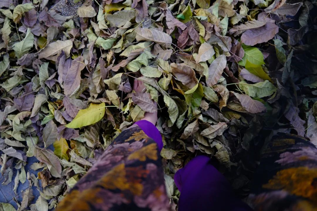 她卖掉市中心大平层,花2万租下梦中情房,太让人羡慕了!休闲区蓝鸢梦想 - Www.slyday.coM 她卖掉市中心大平层,花2万租下梦中情房,太让人羡慕了!休闲区蓝鸢梦想 - Www.slyday.coM