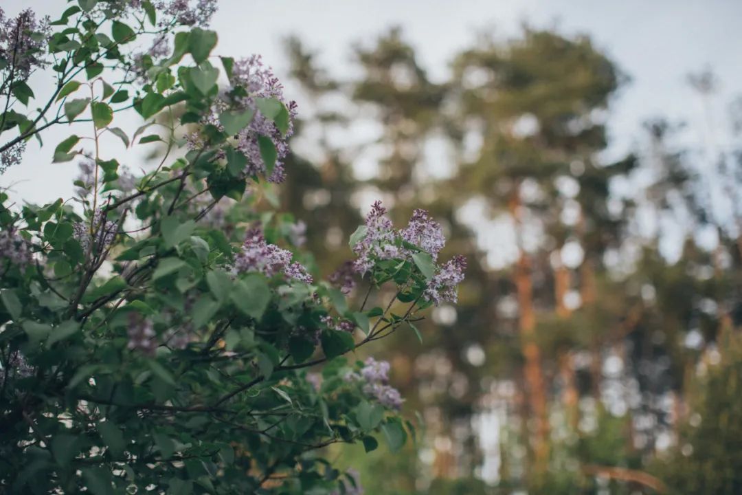 新东方的董宇辉,凭什么这么火?休闲区蓝鸢梦想 - Www.slyday.coM 新东方的董宇辉,凭什么这么火?休闲区蓝鸢梦想 - Www.slyday.coM