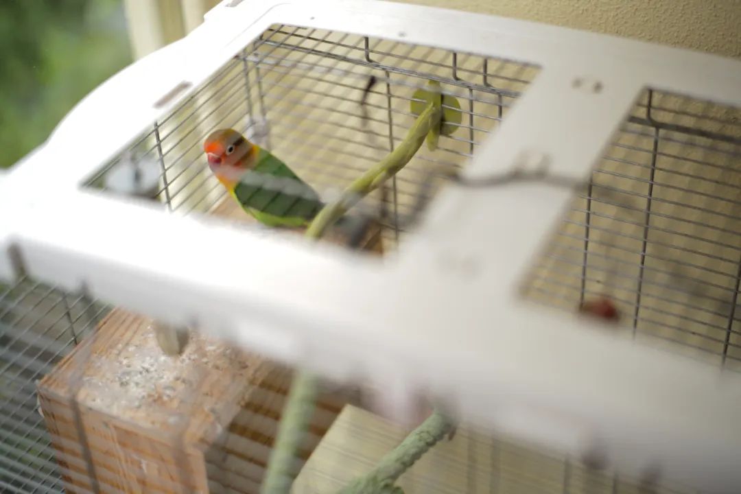 她卖掉市中心大平层,花2万租下梦中情房,太让人羡慕了!休闲区蓝鸢梦想 - Www.slyday.coM 她卖掉市中心大平层,花2万租下梦中情房,太让人羡慕了!休闲区蓝鸢梦想 - Www.slyday.coM