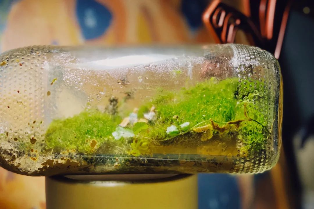 她卖掉市中心大平层,花2万租下梦中情房,太让人羡慕了!休闲区蓝鸢梦想 - Www.slyday.coM 她卖掉市中心大平层,花2万租下梦中情房,太让人羡慕了!休闲区蓝鸢梦想 - Www.slyday.coM