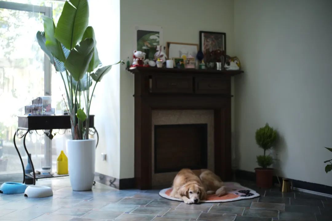 她卖掉市中心大平层,花2万租下梦中情房,太让人羡慕了!休闲区蓝鸢梦想 - Www.slyday.coM 她卖掉市中心大平层,花2万租下梦中情房,太让人羡慕了!休闲区蓝鸢梦想 - Www.slyday.coM