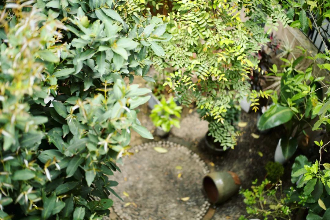 她卖掉市中心大平层,花2万租下梦中情房,太让人羡慕了!休闲区蓝鸢梦想 - Www.slyday.coM 她卖掉市中心大平层,花2万租下梦中情房,太让人羡慕了!休闲区蓝鸢梦想 - Www.slyday.coM