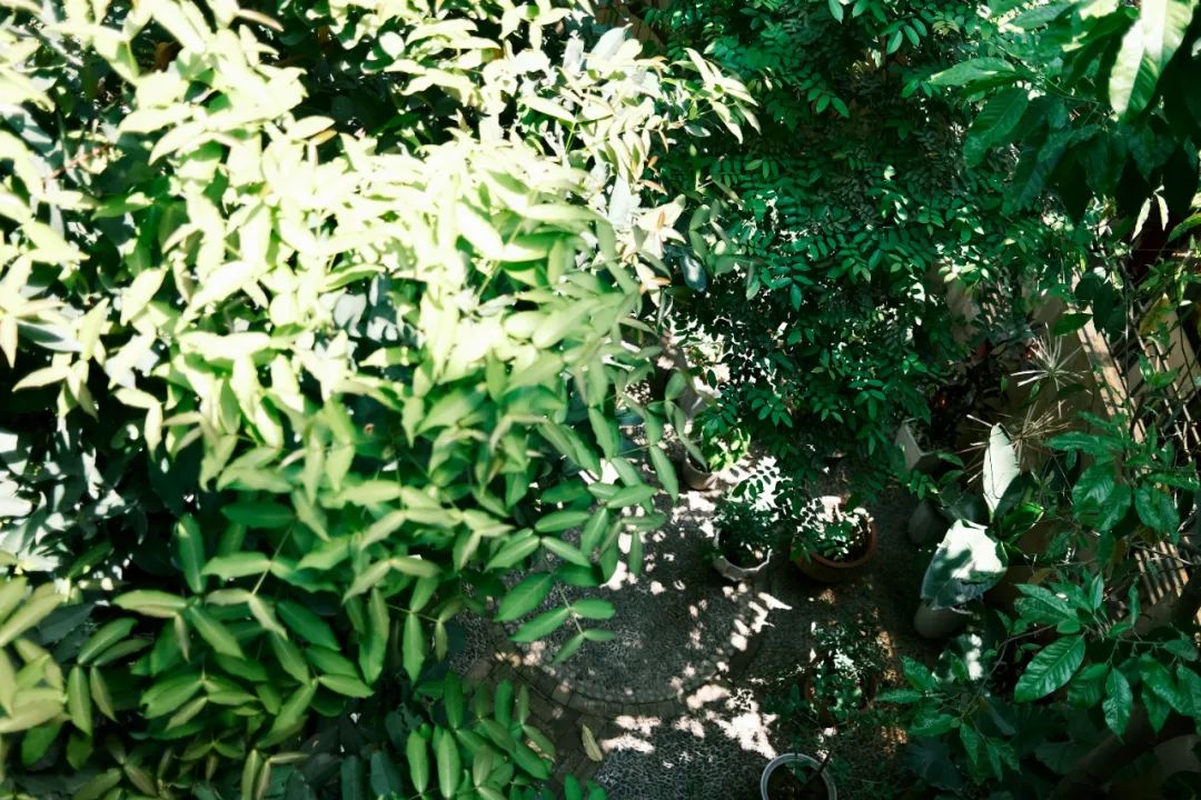 她卖掉市中心大平层,花2万租下梦中情房,太让人羡慕了!休闲区蓝鸢梦想 - Www.slyday.coM 她卖掉市中心大平层,花2万租下梦中情房,太让人羡慕了!休闲区蓝鸢梦想 - Www.slyday.coM