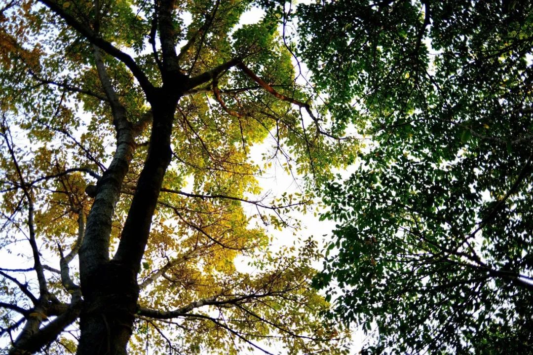 她卖掉市中心大平层,花2万租下梦中情房,太让人羡慕了!休闲区蓝鸢梦想 - Www.slyday.coM 她卖掉市中心大平层,花2万租下梦中情房,太让人羡慕了!休闲区蓝鸢梦想 - Www.slyday.coM