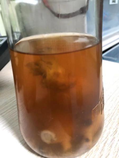 人参泡酒强身健体?一男子喝酒后被送进ICU休闲区蓝鸢梦想 - Www.slyday.coM 人参泡酒强身健体?一男子喝酒后被送进ICU休闲区蓝鸢梦想 - Www.slyday.coM