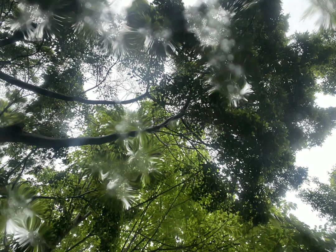 她卖掉市中心大平层,花2万租下梦中情房,太让人羡慕了!休闲区蓝鸢梦想 - Www.slyday.coM 她卖掉市中心大平层,花2万租下梦中情房,太让人羡慕了!休闲区蓝鸢梦想 - Www.slyday.coM