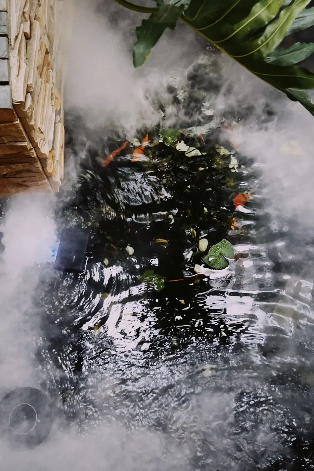 她卖掉市中心大平层,花2万租下梦中情房,太让人羡慕了!休闲区蓝鸢梦想 - Www.slyday.coM 她卖掉市中心大平层,花2万租下梦中情房,太让人羡慕了!休闲区蓝鸢梦想 - Www.slyday.coM