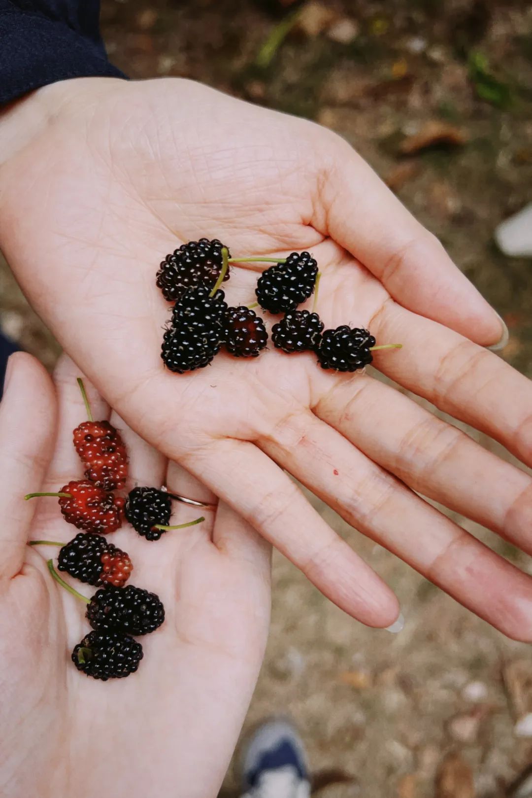 她卖掉市中心大平层,花2万租下梦中情房,太让人羡慕了!休闲区蓝鸢梦想 - Www.slyday.coM 她卖掉市中心大平层,花2万租下梦中情房,太让人羡慕了!休闲区蓝鸢梦想 - Www.slyday.coM