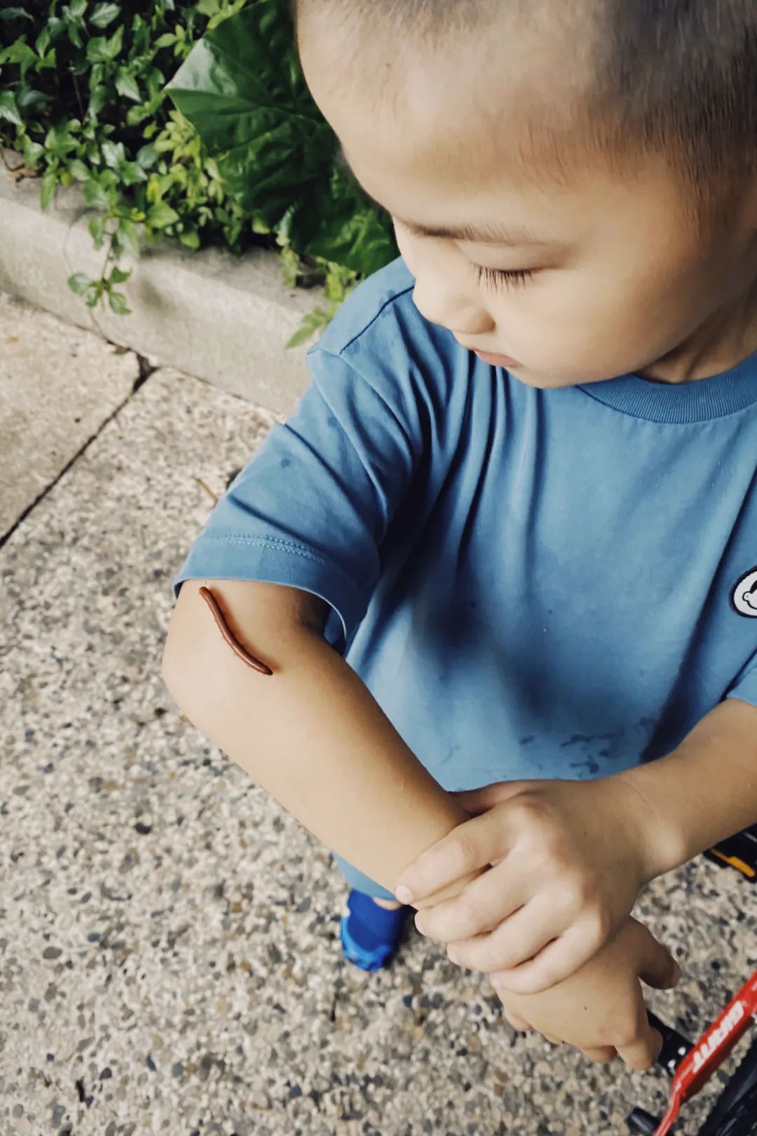 她卖掉市中心大平层,花2万租下梦中情房,太让人羡慕了!休闲区蓝鸢梦想 - Www.slyday.coM 她卖掉市中心大平层,花2万租下梦中情房,太让人羡慕了!休闲区蓝鸢梦想 - Www.slyday.coM