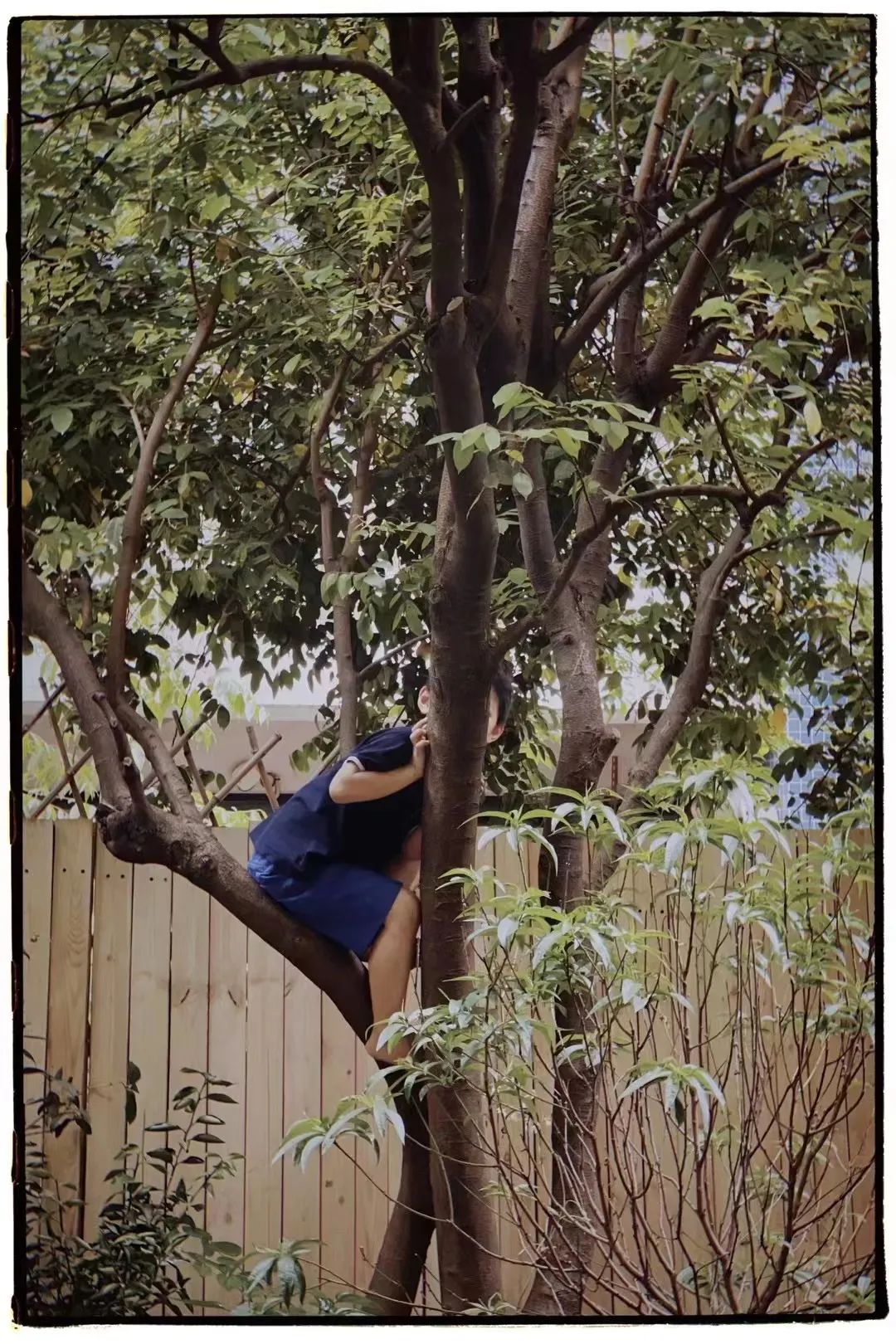 她卖掉市中心大平层,花2万租下梦中情房,太让人羡慕了!休闲区蓝鸢梦想 - Www.slyday.coM 她卖掉市中心大平层,花2万租下梦中情房,太让人羡慕了!休闲区蓝鸢梦想 - Www.slyday.coM