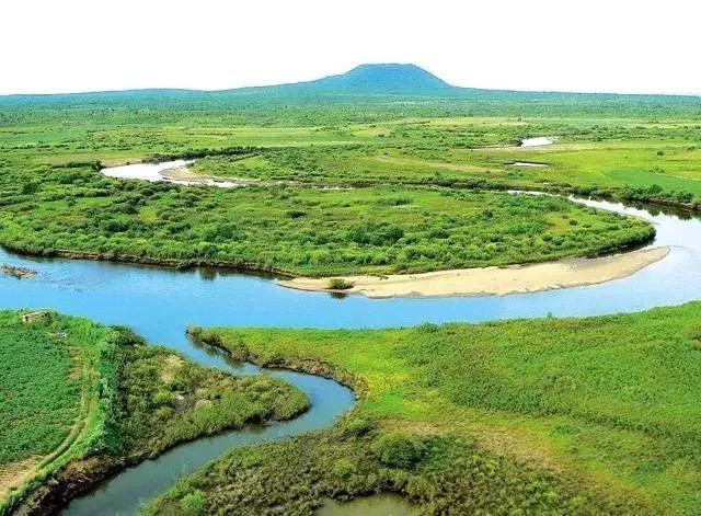 牛奶骨头汤统统靠边!它竟是优质的钙片,真没想到~休闲区蓝鸢梦想 - Www.slyday.coM 牛奶骨头汤统统靠边!它竟是优质的钙片,真没想到~休闲区蓝鸢梦想 - Www.slyday.coM