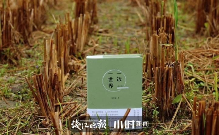 父亲的水稻田休闲区蓝鸢梦想 - Www.slyday.coM 父亲的水稻田休闲区蓝鸢梦想 - Www.slyday.coM