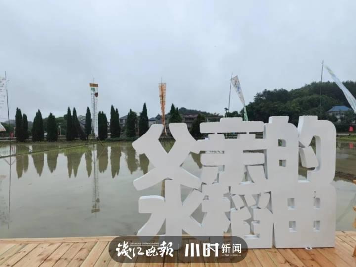 父亲的水稻田休闲区蓝鸢梦想 - Www.slyday.coM 父亲的水稻田休闲区蓝鸢梦想 - Www.slyday.coM