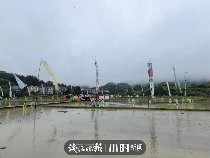 父亲的水稻田休闲区蓝鸢梦想 - Www.slyday.coM 父亲的水稻田休闲区蓝鸢梦想 - Www.slyday.coM