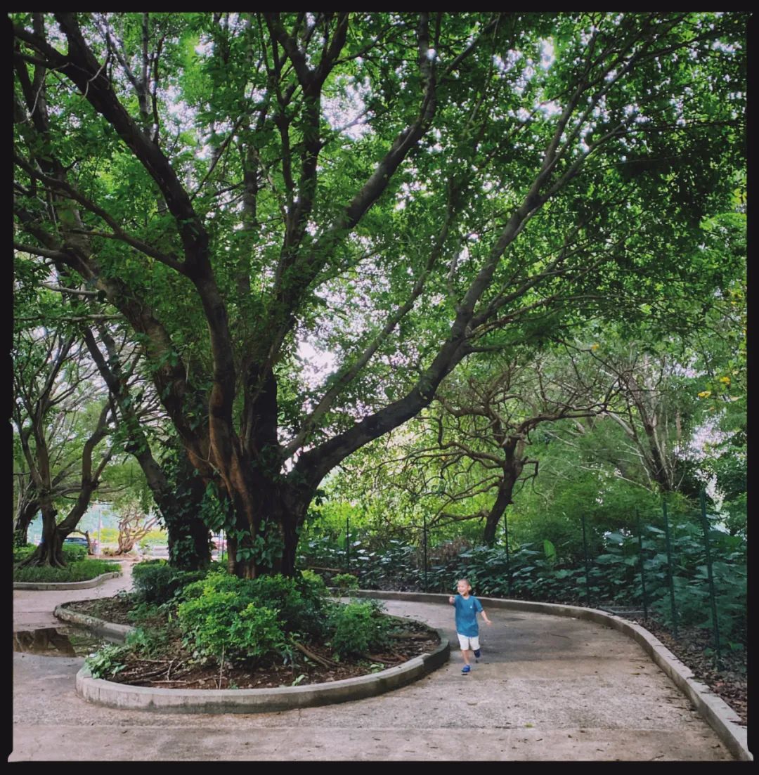 她卖掉市中心大平层,花2万租下梦中情房,太让人羡慕了!休闲区蓝鸢梦想 - Www.slyday.coM 她卖掉市中心大平层,花2万租下梦中情房,太让人羡慕了!休闲区蓝鸢梦想 - Www.slyday.coM