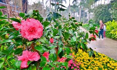 河池一村庄被水围困成“孤岛”,待产孕妇羊水已破,危急时刻他们出现了休闲区蓝鸢梦想 - Www.slyday.coM 河池一村庄被水围困成“孤岛”,待产孕妇羊水已破,危急时刻他们出现了休闲区蓝鸢梦想 - Www.slyday.coM