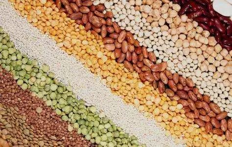 牛奶骨头汤统统靠边!它竟是优质的钙片,真没想到~休闲区蓝鸢梦想 - Www.slyday.coM 牛奶骨头汤统统靠边!它竟是优质的钙片,真没想到~休闲区蓝鸢梦想 - Www.slyday.coM