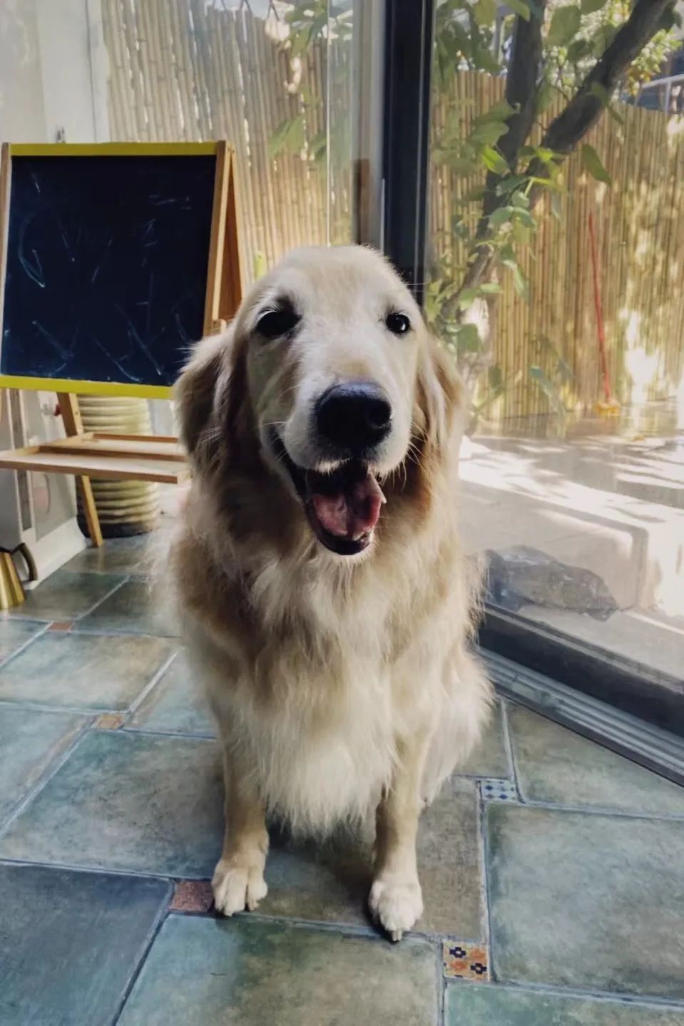 她卖掉市中心大平层,花2万租下梦中情房,太让人羡慕了!休闲区蓝鸢梦想 - Www.slyday.coM 她卖掉市中心大平层,花2万租下梦中情房,太让人羡慕了!休闲区蓝鸢梦想 - Www.slyday.coM