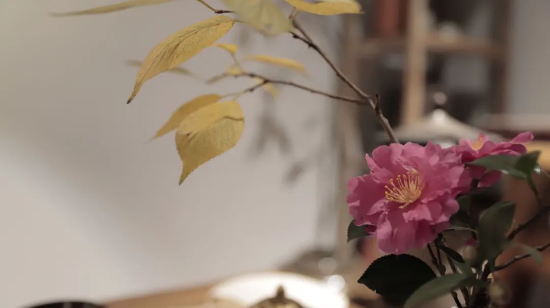 新东方的董宇辉,凭什么这么火?休闲区蓝鸢梦想 - Www.slyday.coM 新东方的董宇辉,凭什么这么火?休闲区蓝鸢梦想 - Www.slyday.coM