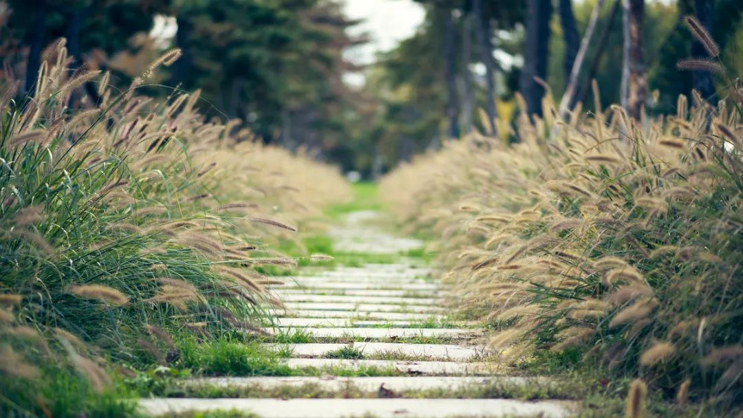 新东方的董宇辉,凭什么这么火?休闲区蓝鸢梦想 - Www.slyday.coM 新东方的董宇辉,凭什么这么火?休闲区蓝鸢梦想 - Www.slyday.coM