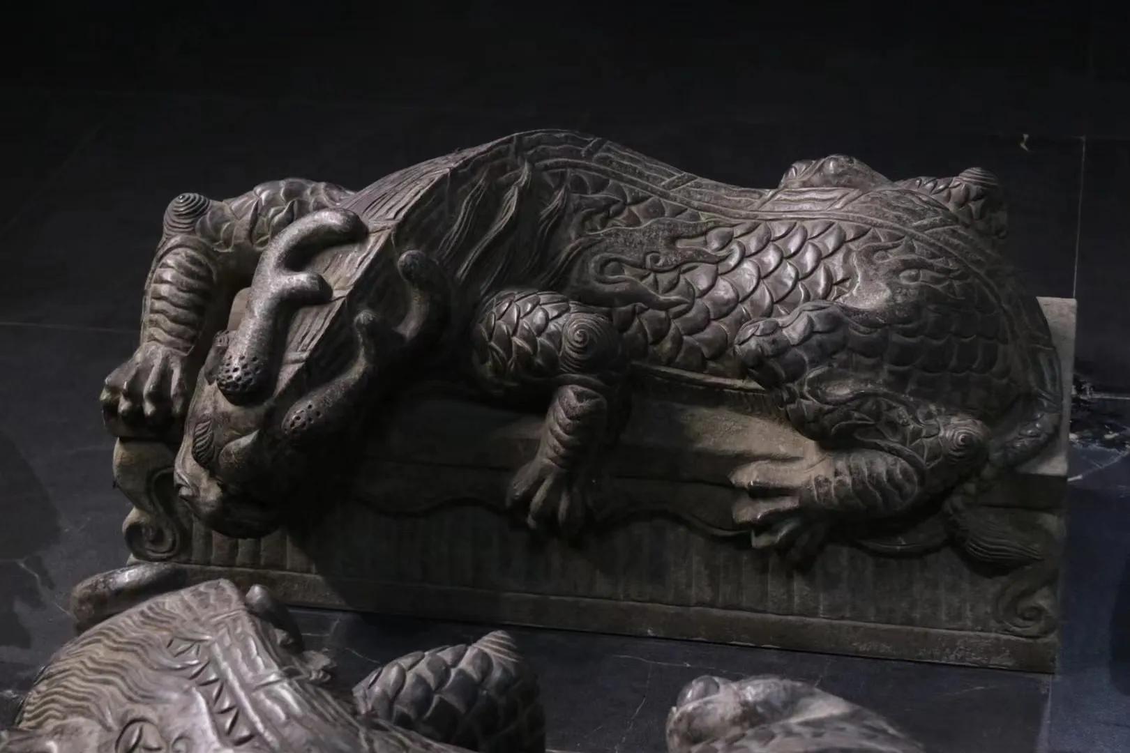 “人间真龙”?“龙角”奇蛇现身浙江乌岩岭,长相精致...