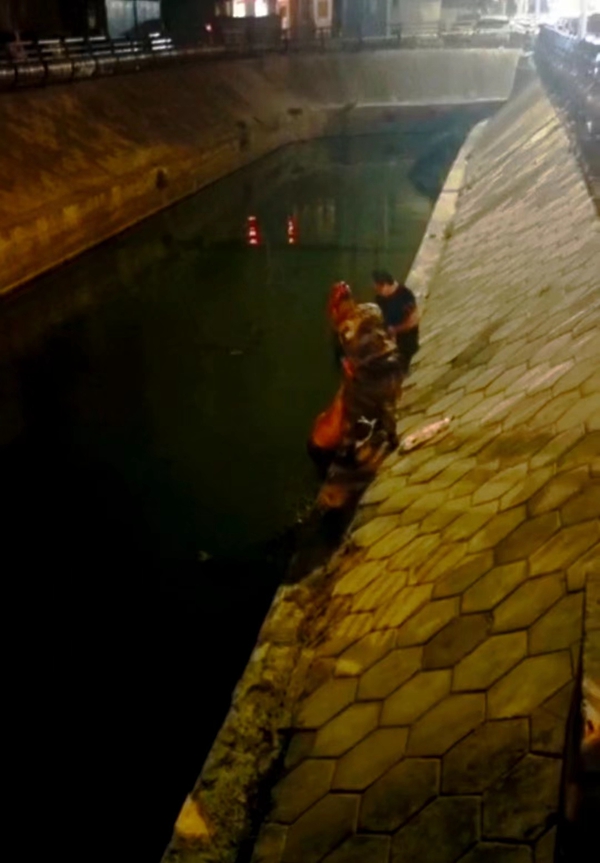 送餐完结后随手救对个人,安阳这两位送餐小伙子真没想到的!插图1 送餐完结后随手救对个人,安阳这两位送餐小伙子真没想到的!插图1