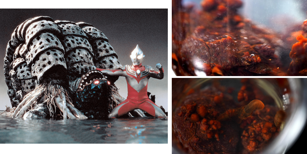 你就是这么和王冰冰拍央视节目的??休闲区蓝鸢梦想 - Www.slyday.coM 你就是这么和王冰冰拍央视节目的??休闲区蓝鸢梦想 - Www.slyday.coM